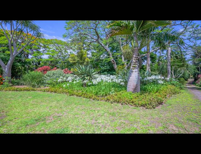 70,140M² FARM FOR SALE IN BALLITO CENTRAL